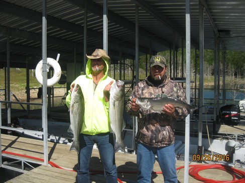 Nice Striped Bass